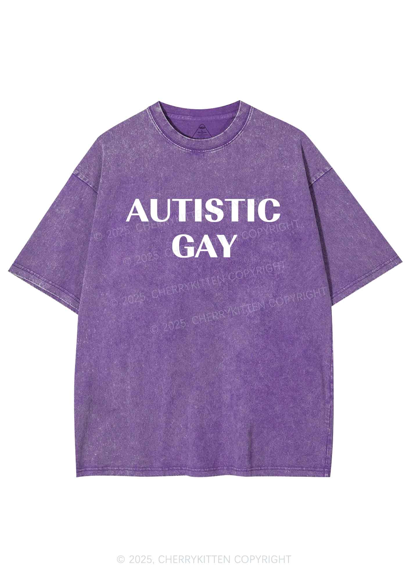 Autistic Gay Pride Y2K Shirts Washed Tee Cherrykitten
