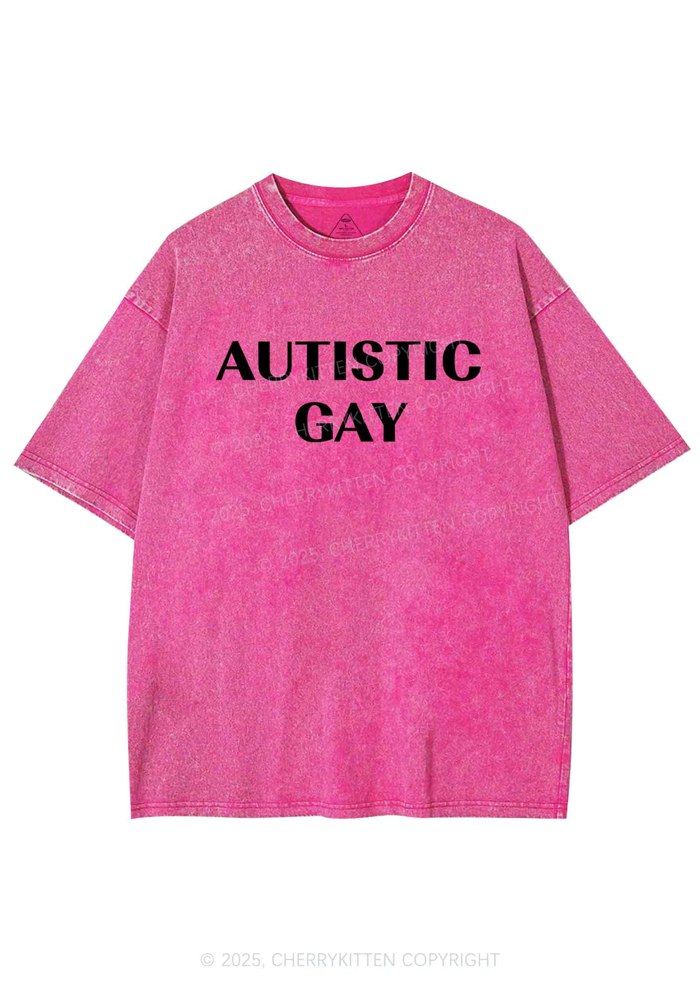 Autistic Gay Pride Y2K Shirts Washed Tee Cherrykitten - Image 5