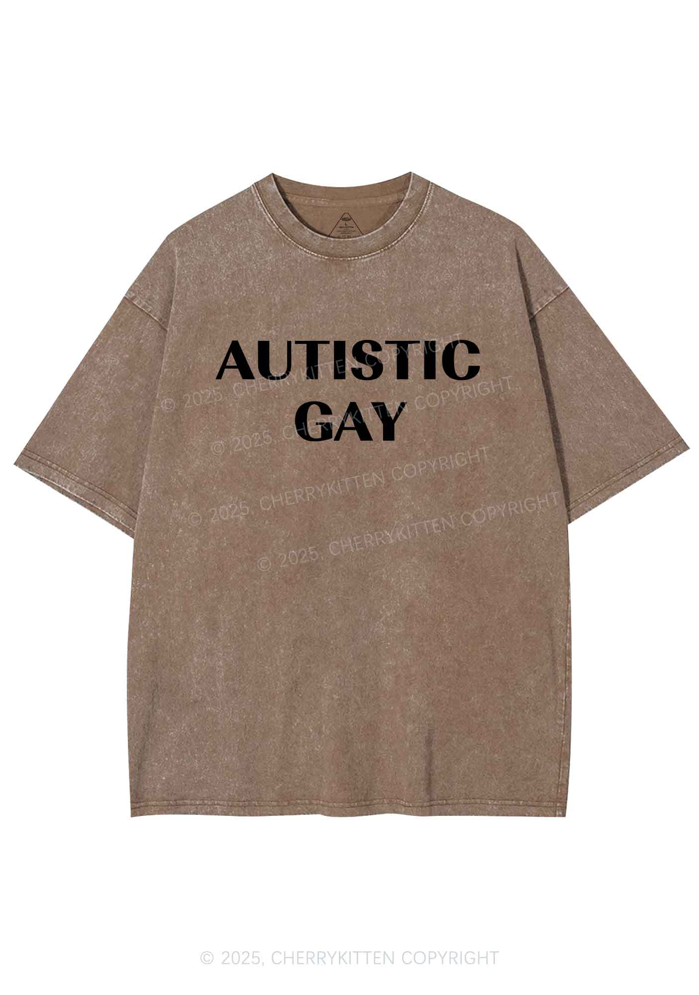Autistic Gay Pride Y2K Shirts Washed Tee Cherrykitten - Image 6