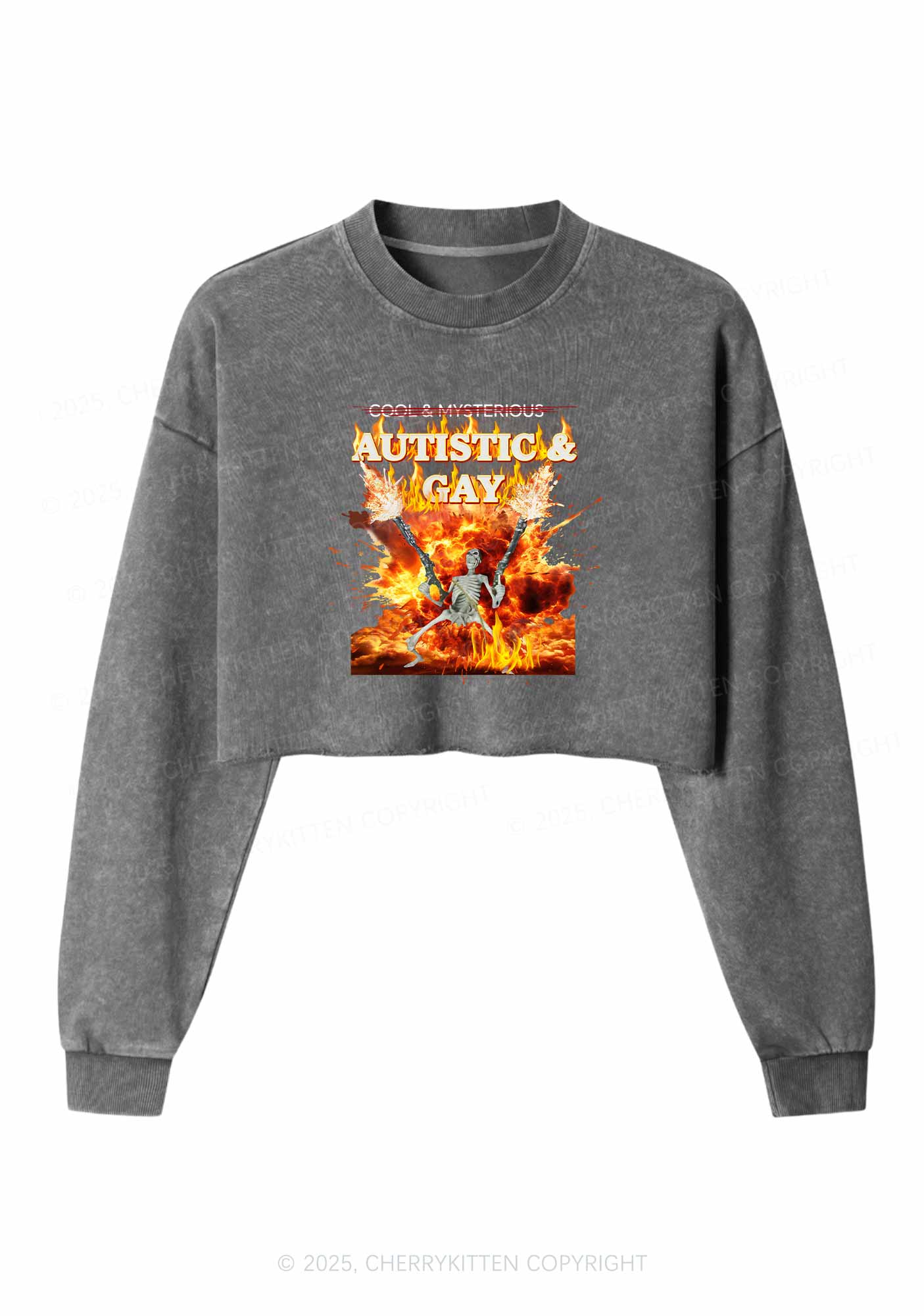 Autistic Gay Skeleton Pride Y2K Crop Washed Sweatshirts Cherrykitten
