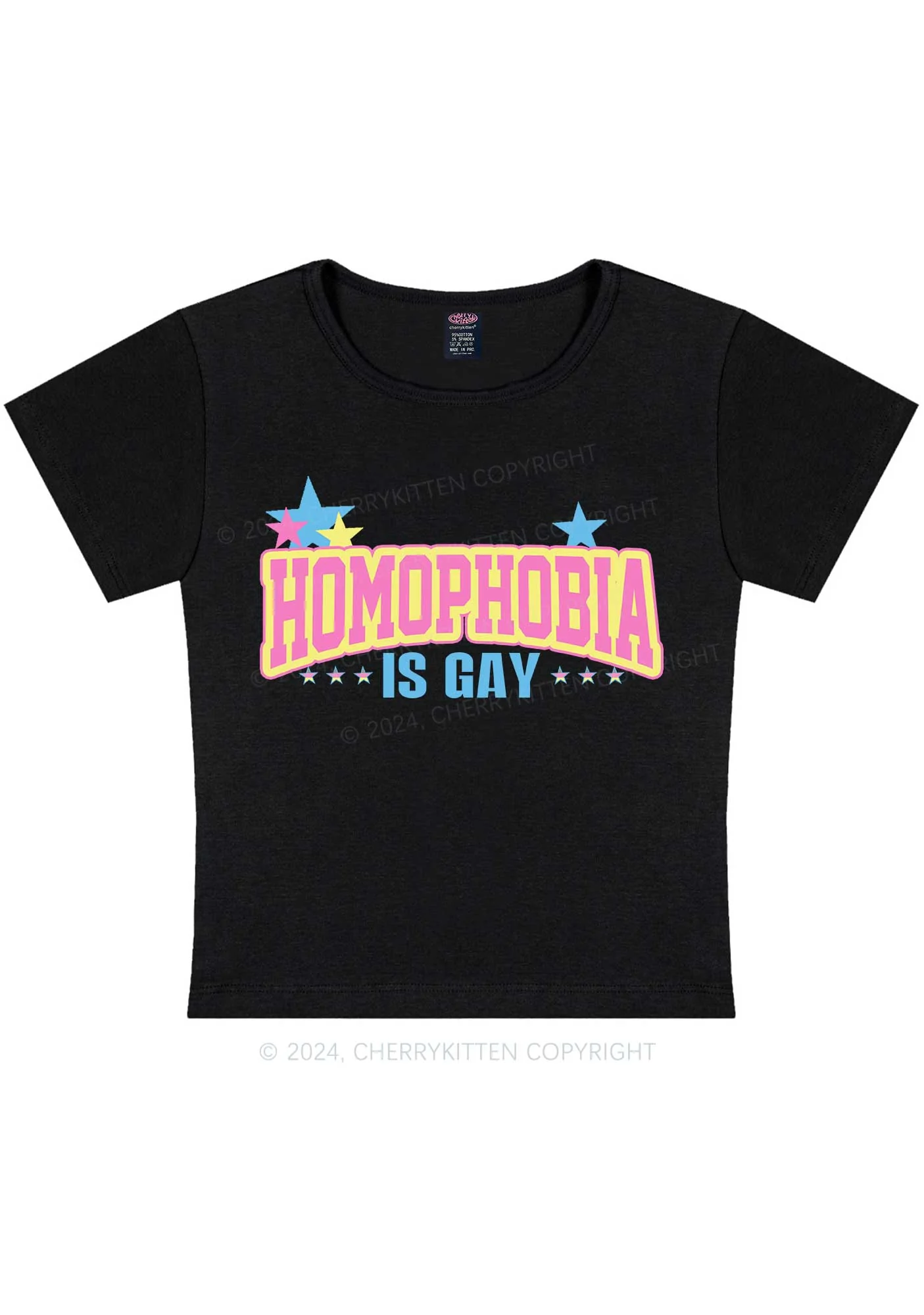 Curvy Homophobia Is Gay Y2K Baby Tee Cherrykitten - Image 3
