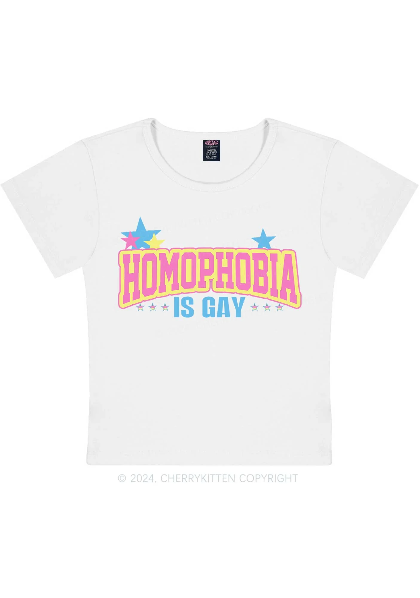 Curvy Homophobia Is Gay Y2K Baby Tee Cherrykitten - Image 4