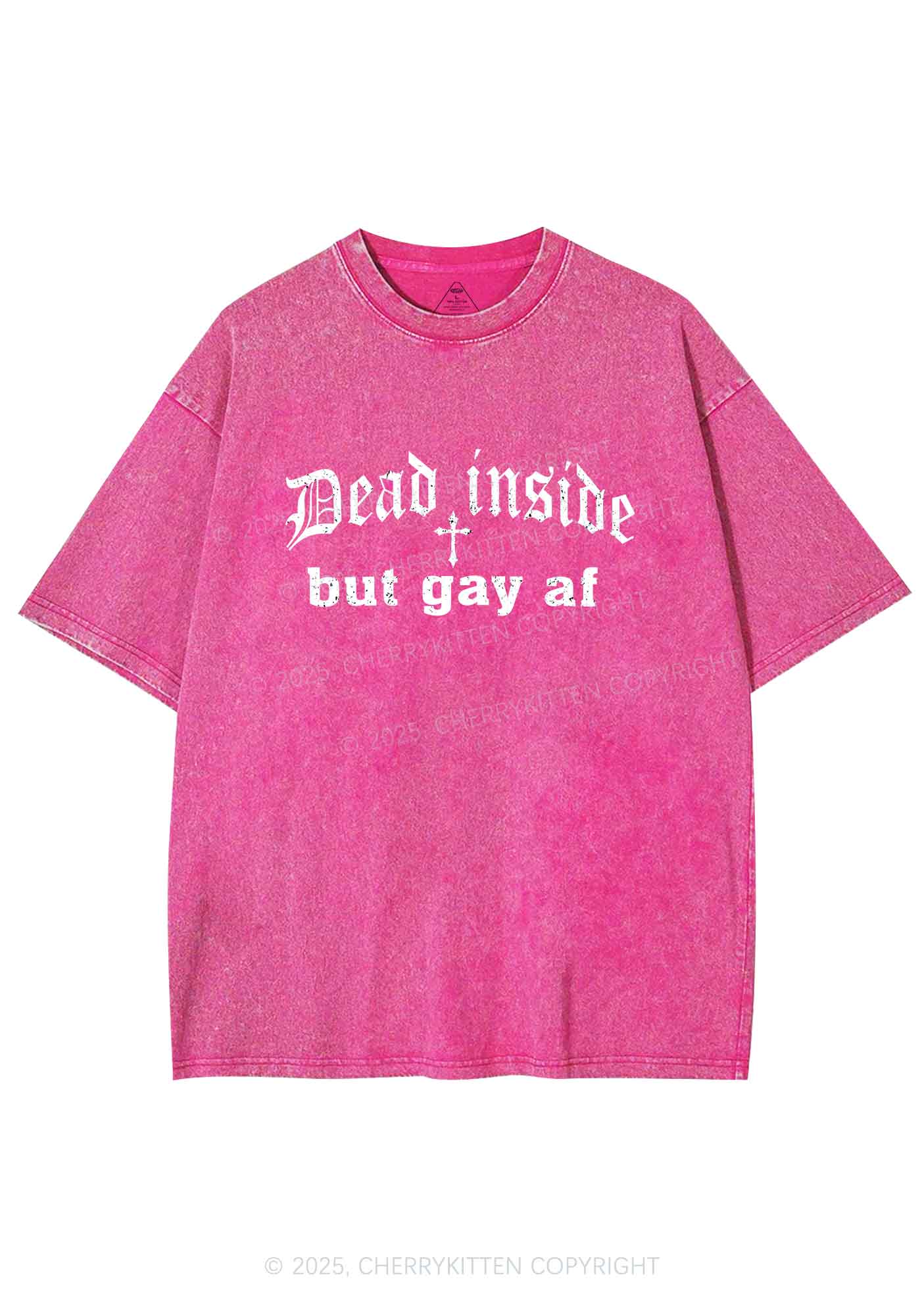 Dead Inside But Gay AF Pride Y2K Shirts Washed Tee Cherrykitten - Image 4