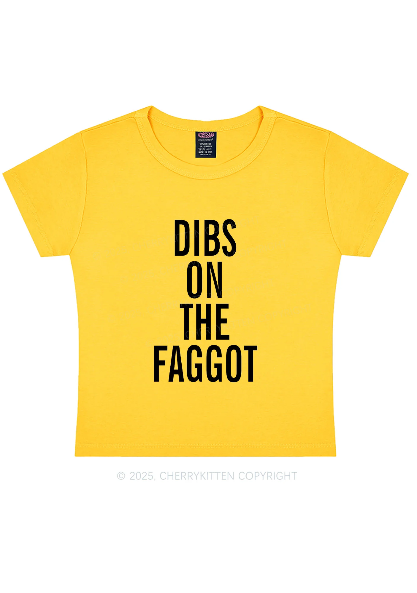 Dibs On The Faggot Pride Y2K Baby Tee Cherrykitten