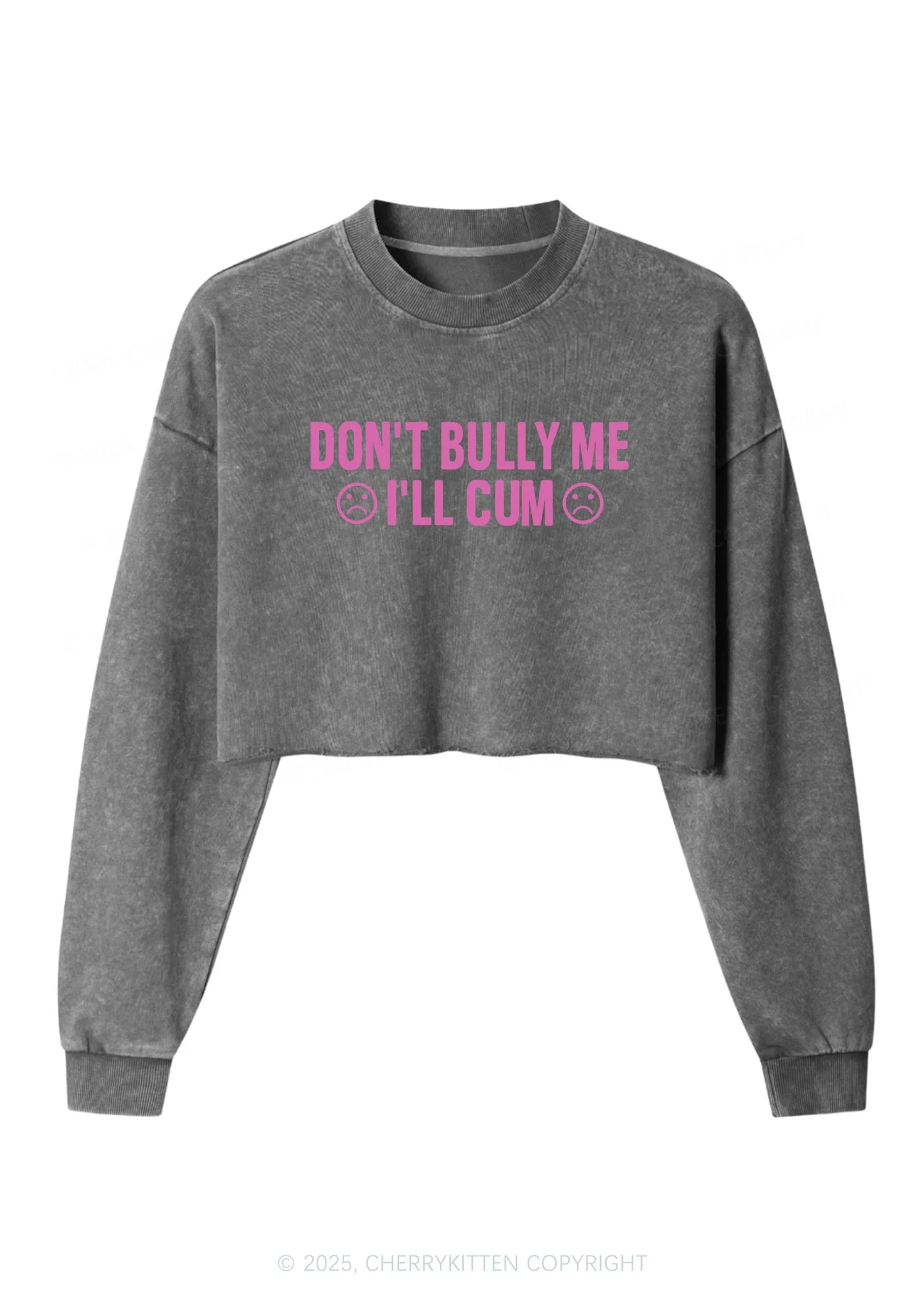 Dont Bully Me Y2K Crop Washed Sweatshirts Cherrykitten - Image 4