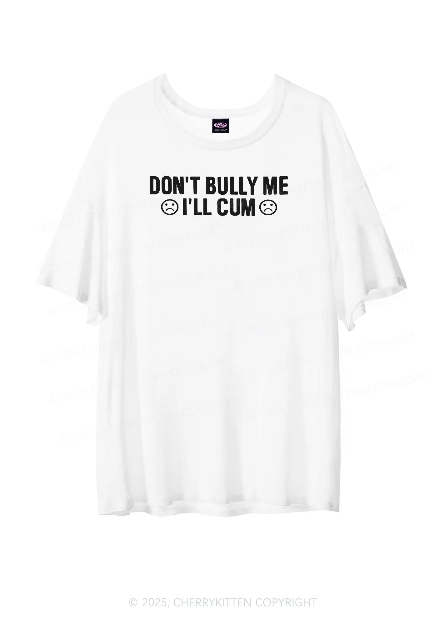 Dont Bully Me Y2K Sheer Boyfriend Tee Cherrykitten