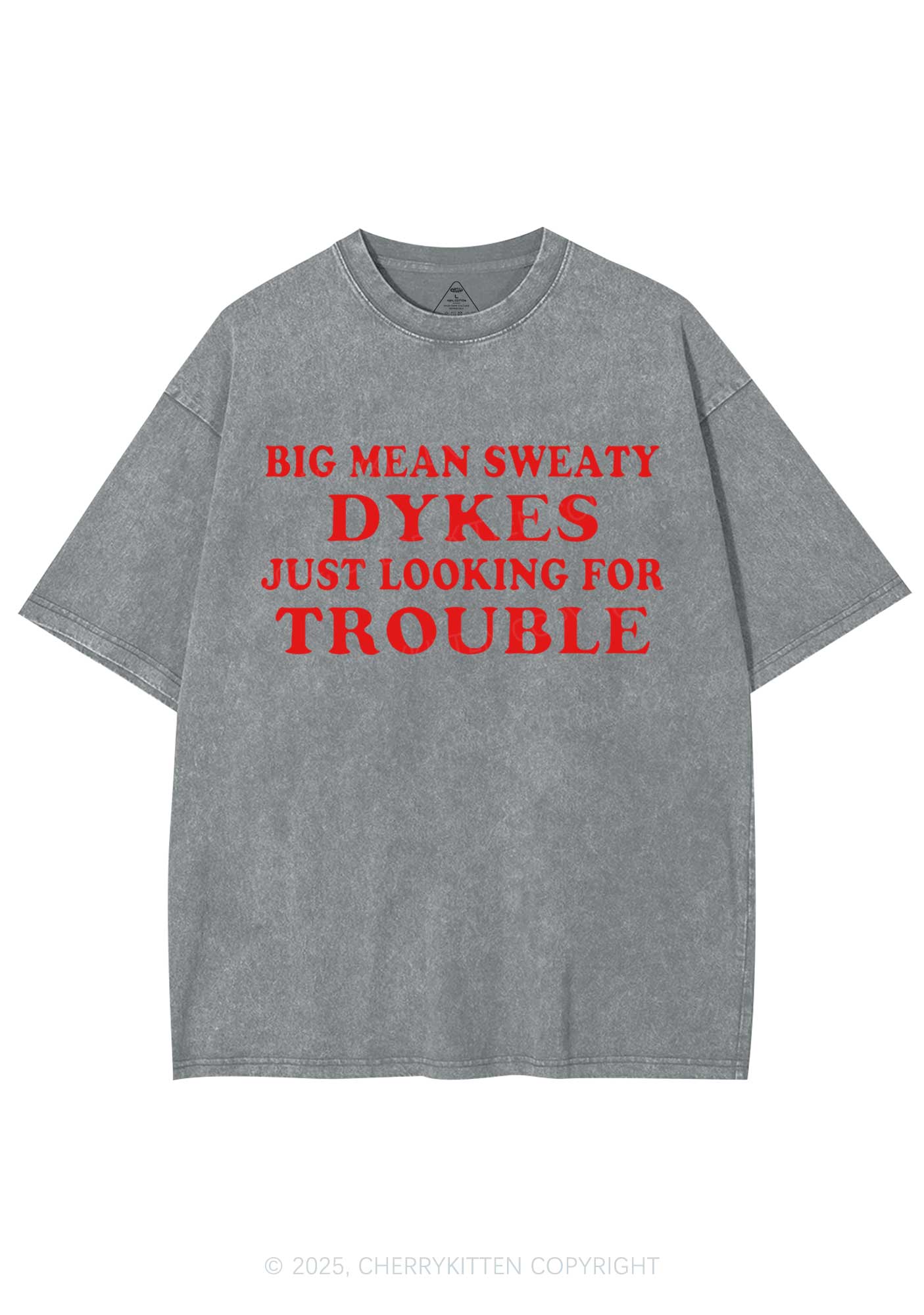 Dykes Trouble Y2K Shirts Washed Tee Cherrykitten - Image 7