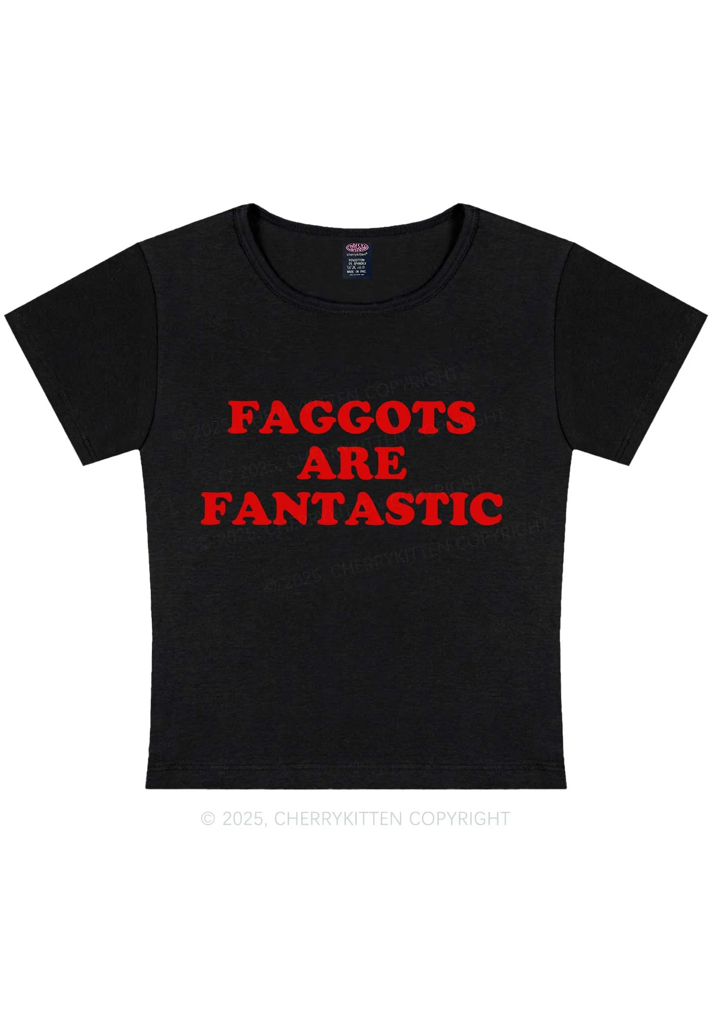 Faggots Are Fantastic Pride Y2K Baby Tee Cherrykitten - Image 4