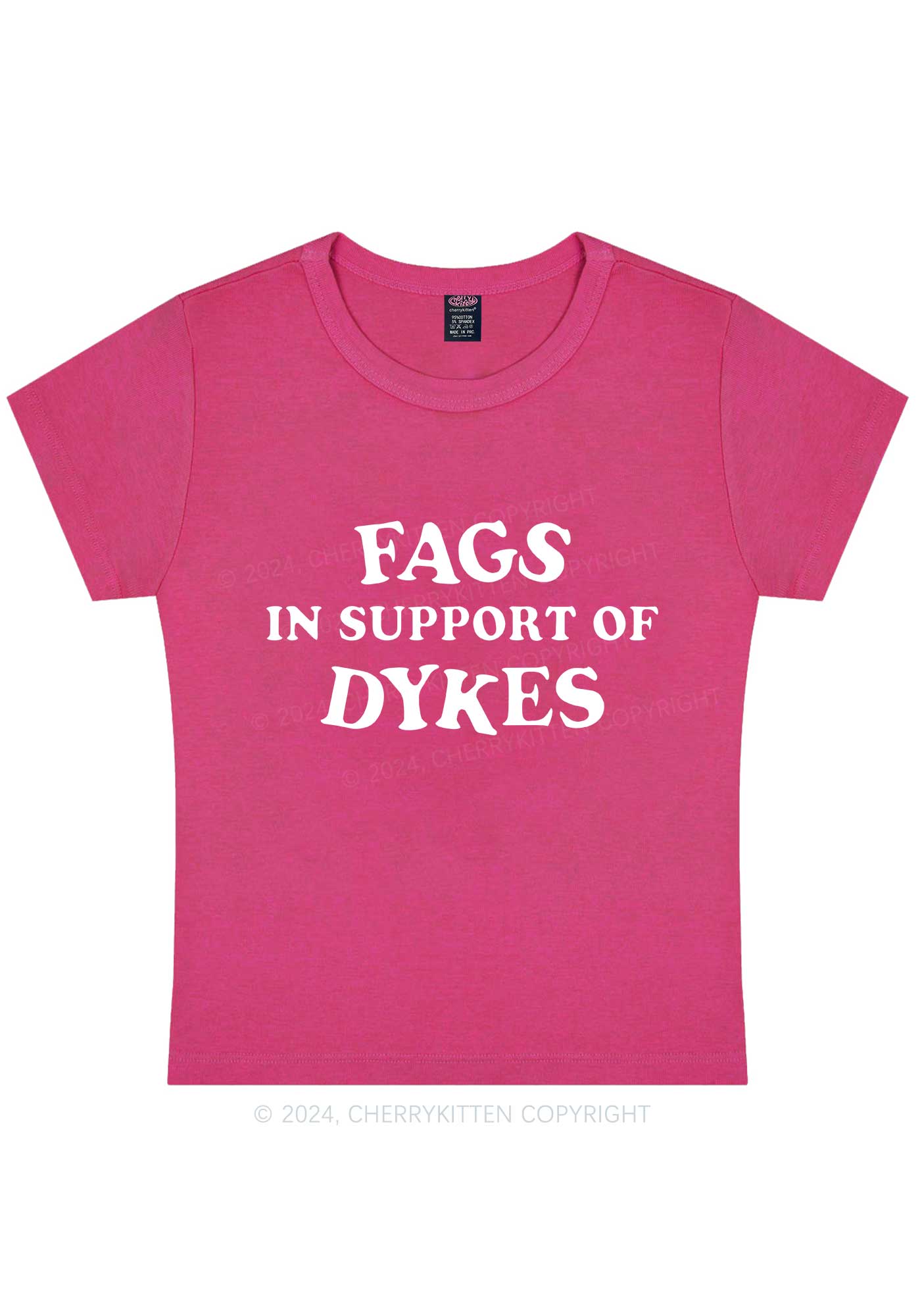 Fags Dykes Y2K Baby Tee Cherrykitten - Image 8