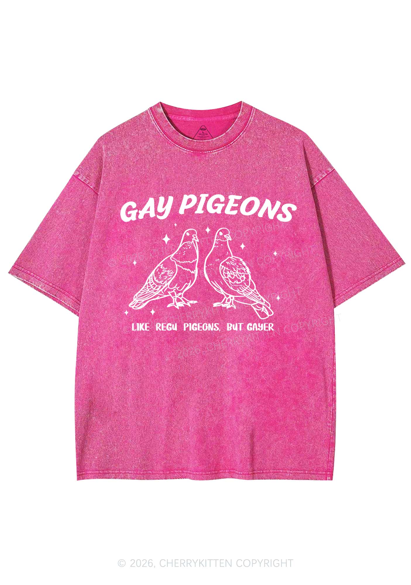 Gay Pigeons Pride Y2K Shirts Washed Tee Cherrykitten