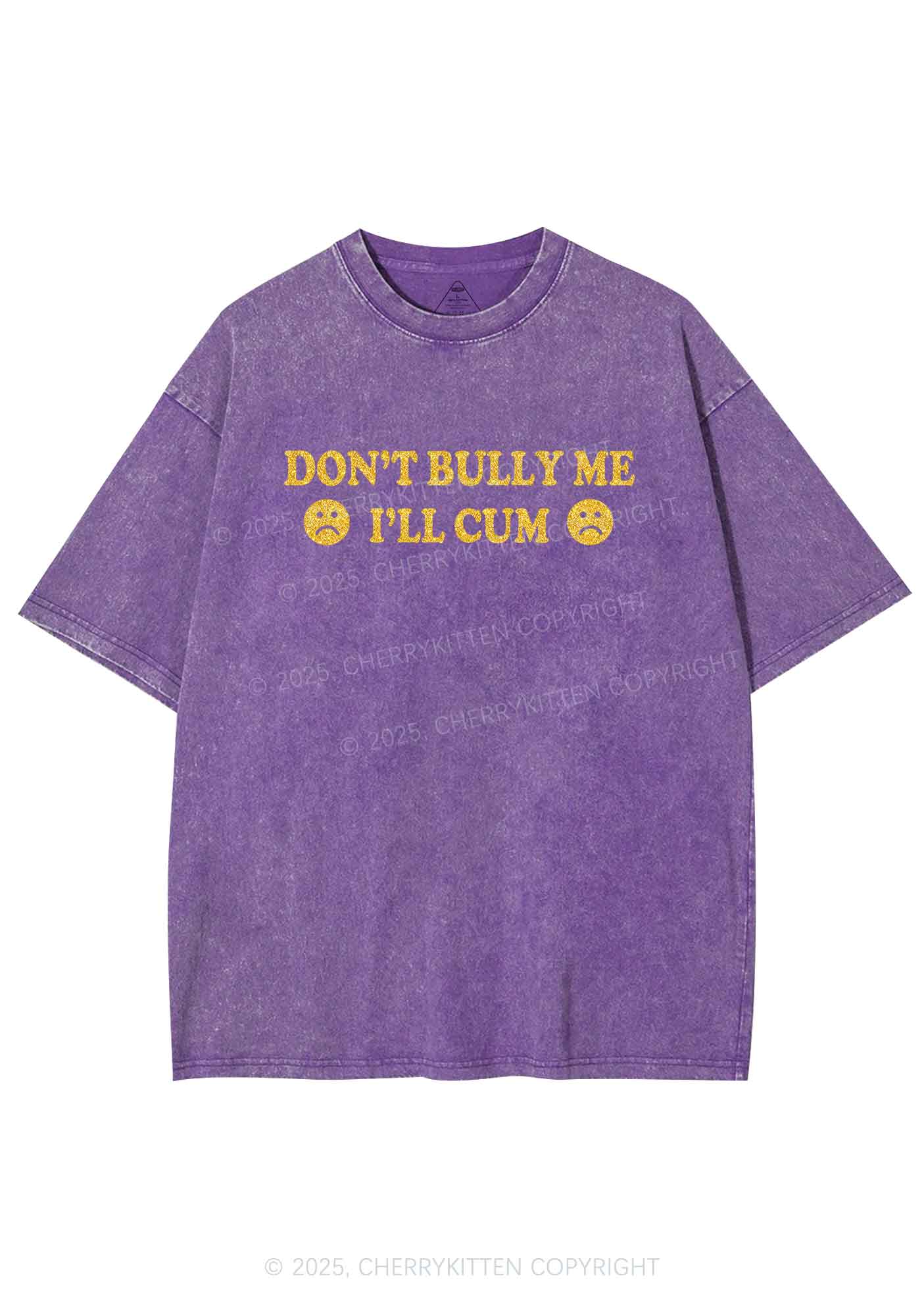 Glitter Dont Bully Me Y2K Shirts Washed Tee Cherrykitten - Image 6