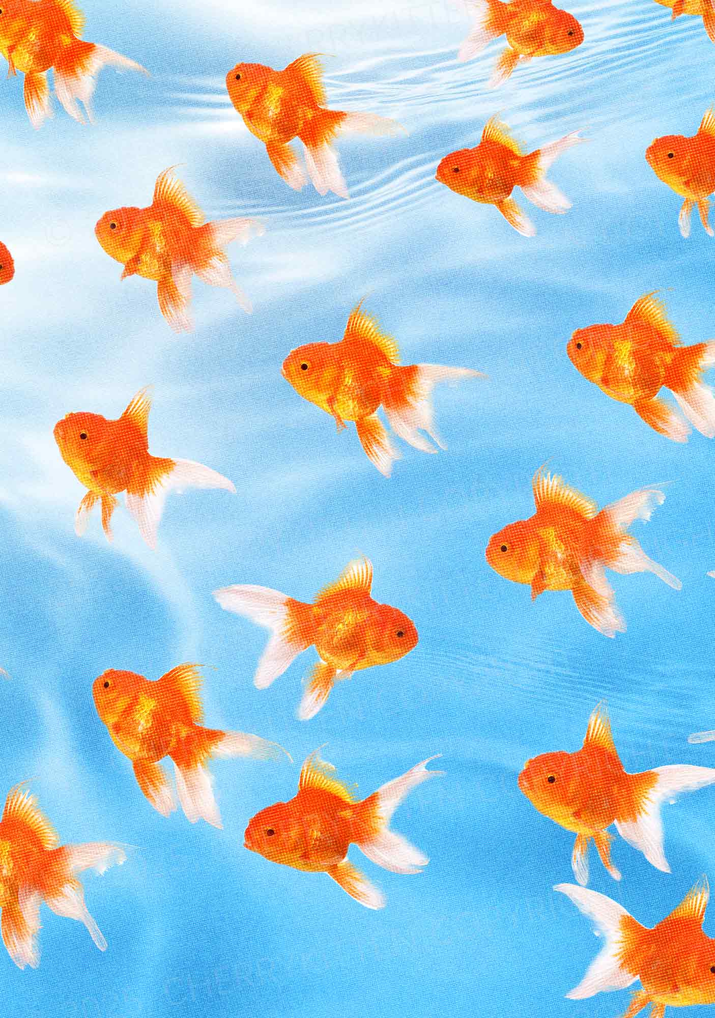 Goldfish Y2K Print Cami Crop Top Cherrykitten - Image 2