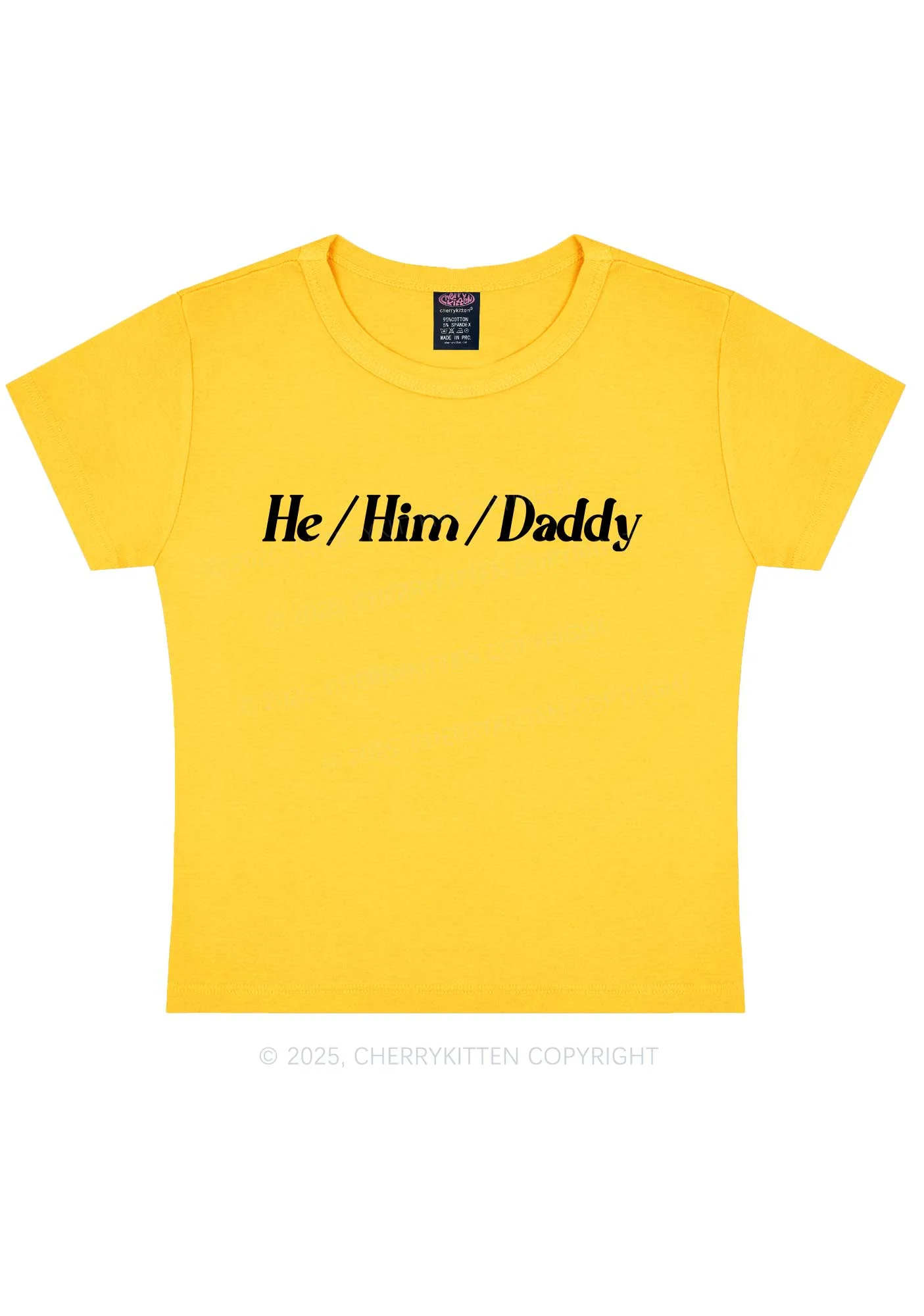 He Him Daddy Pride Y2K Baby Tee Cherrykitten - Image 3