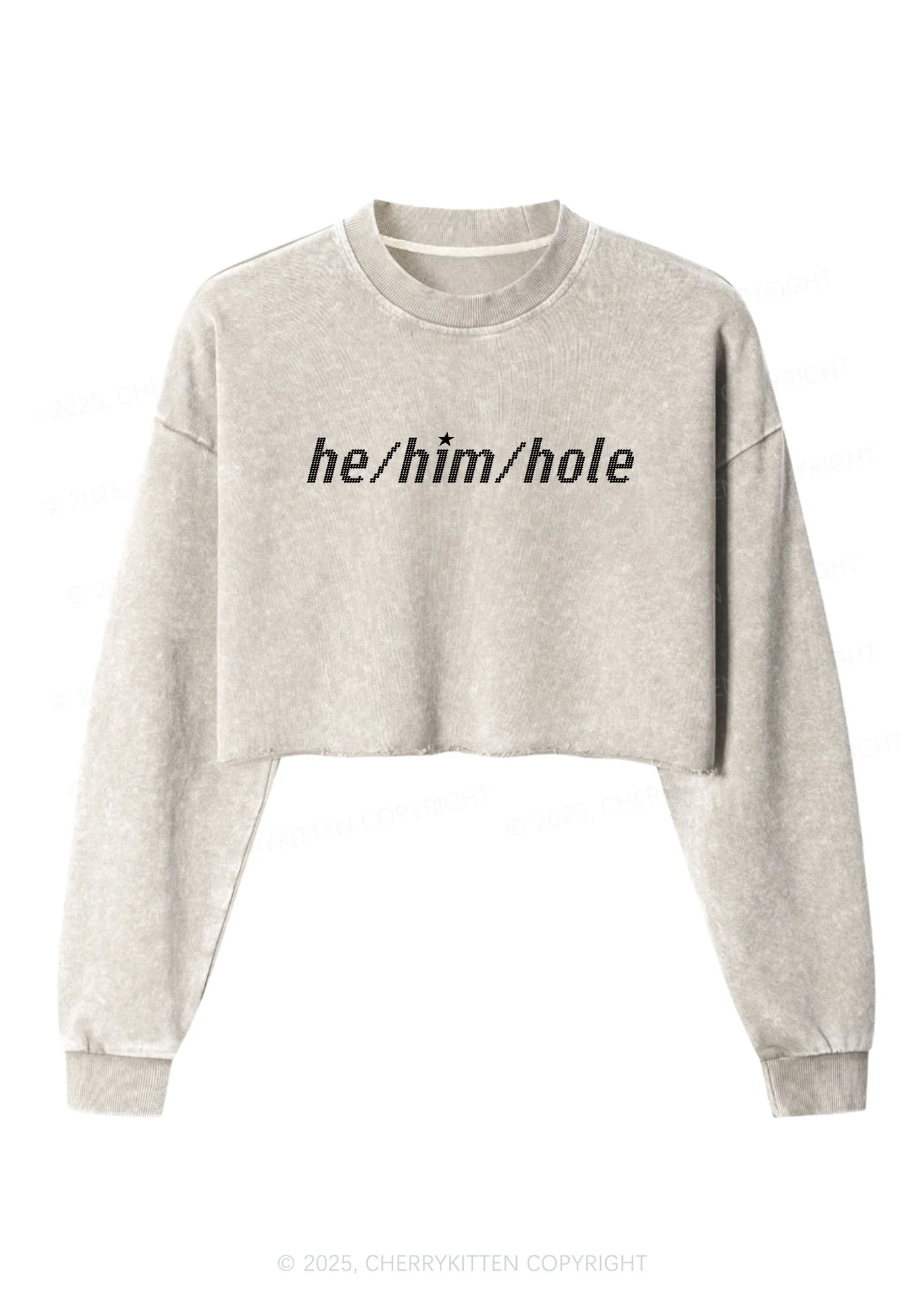 He Him Hole Pride Y2K Crop Washed Sweatshirts Cherrykitten - Image 3
