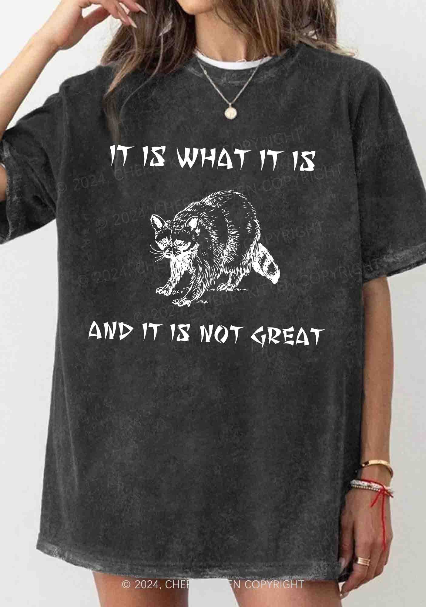 It Is What It Is And It Is Not Great Y2K Washed Tee Cherrykitten - Image 2