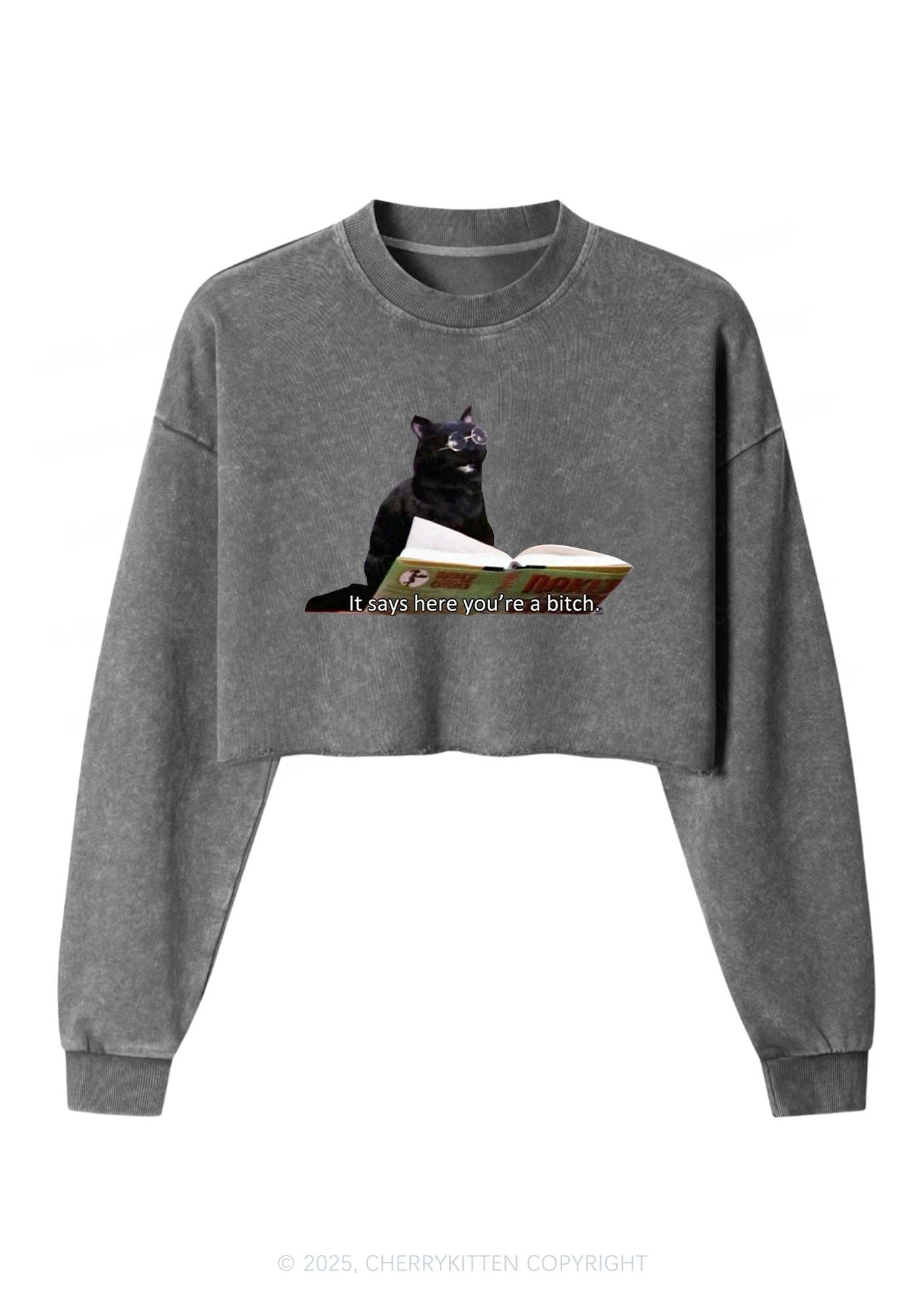 It Says Here Youre A Bixxh Y2K Crop Washed Sweatshirts Cherrykitten - Image 5