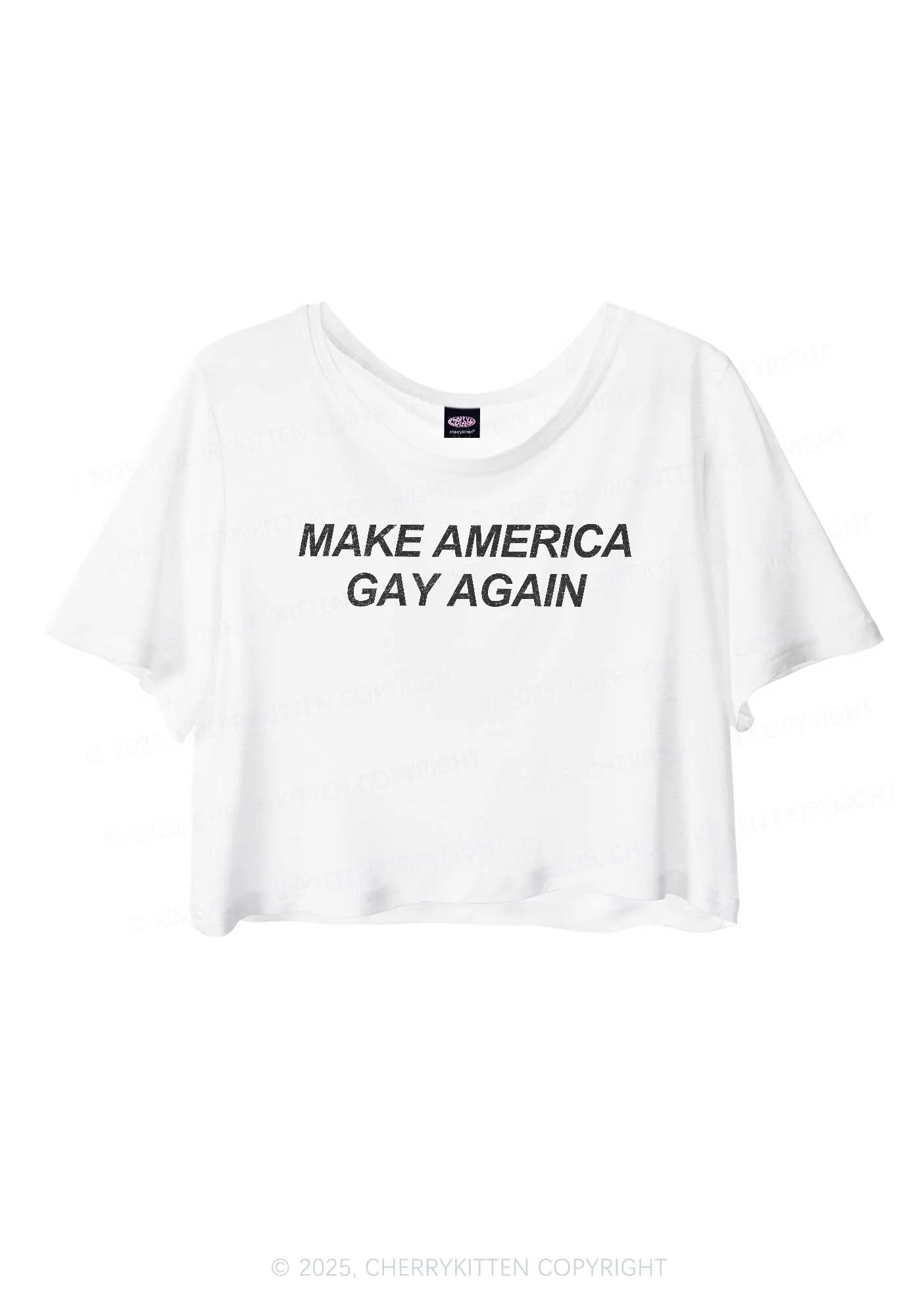 Make America Gay Again Pride Y2K Sheer Crop Tee Cherrykitten