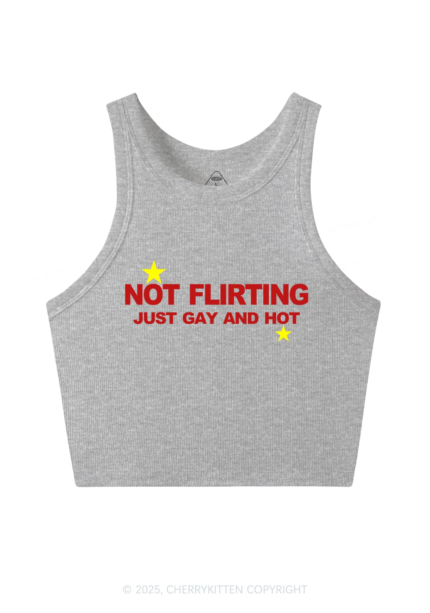Not Flirting Pride Y2K Crop Tank Top Cherrykitten