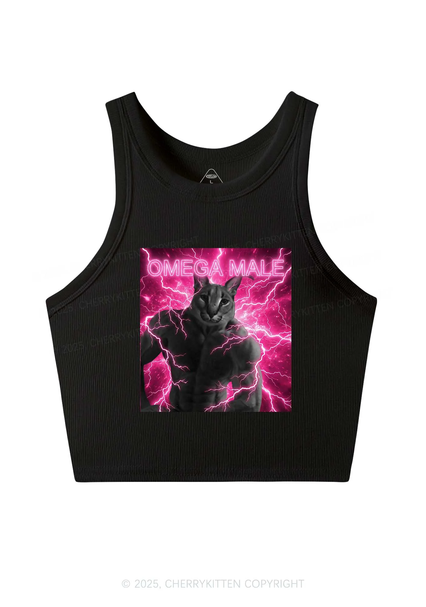 Omega Male Y2K Crop Tank Top Cherrykitten
