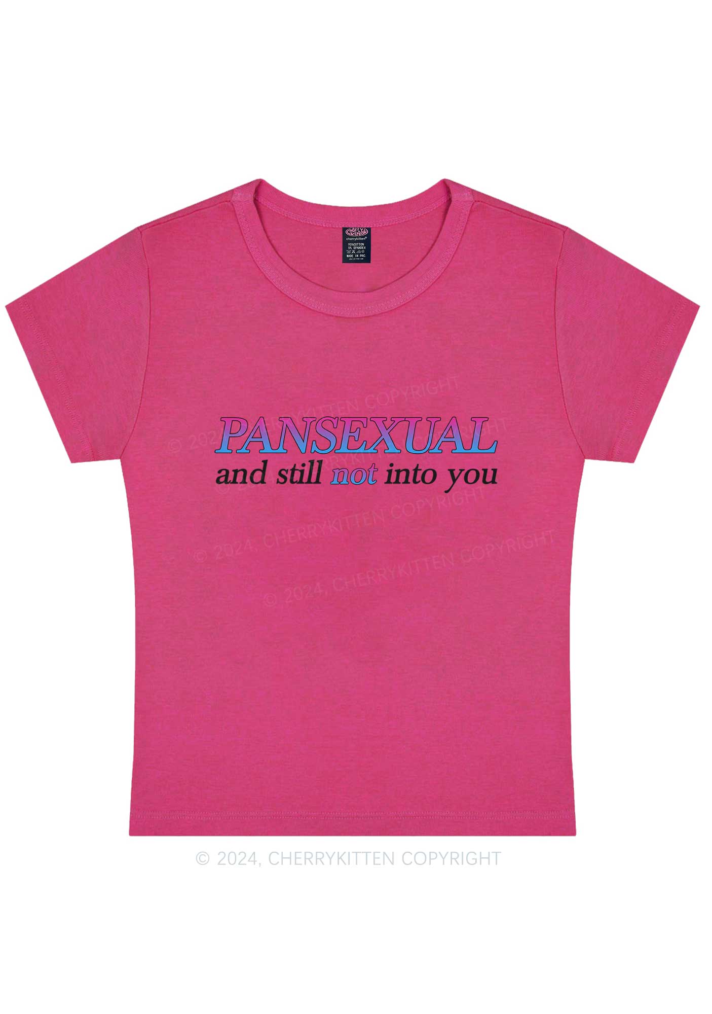 Pansexual Still Not Into You Y2K Baby Tee Cherrykitten - Image 7