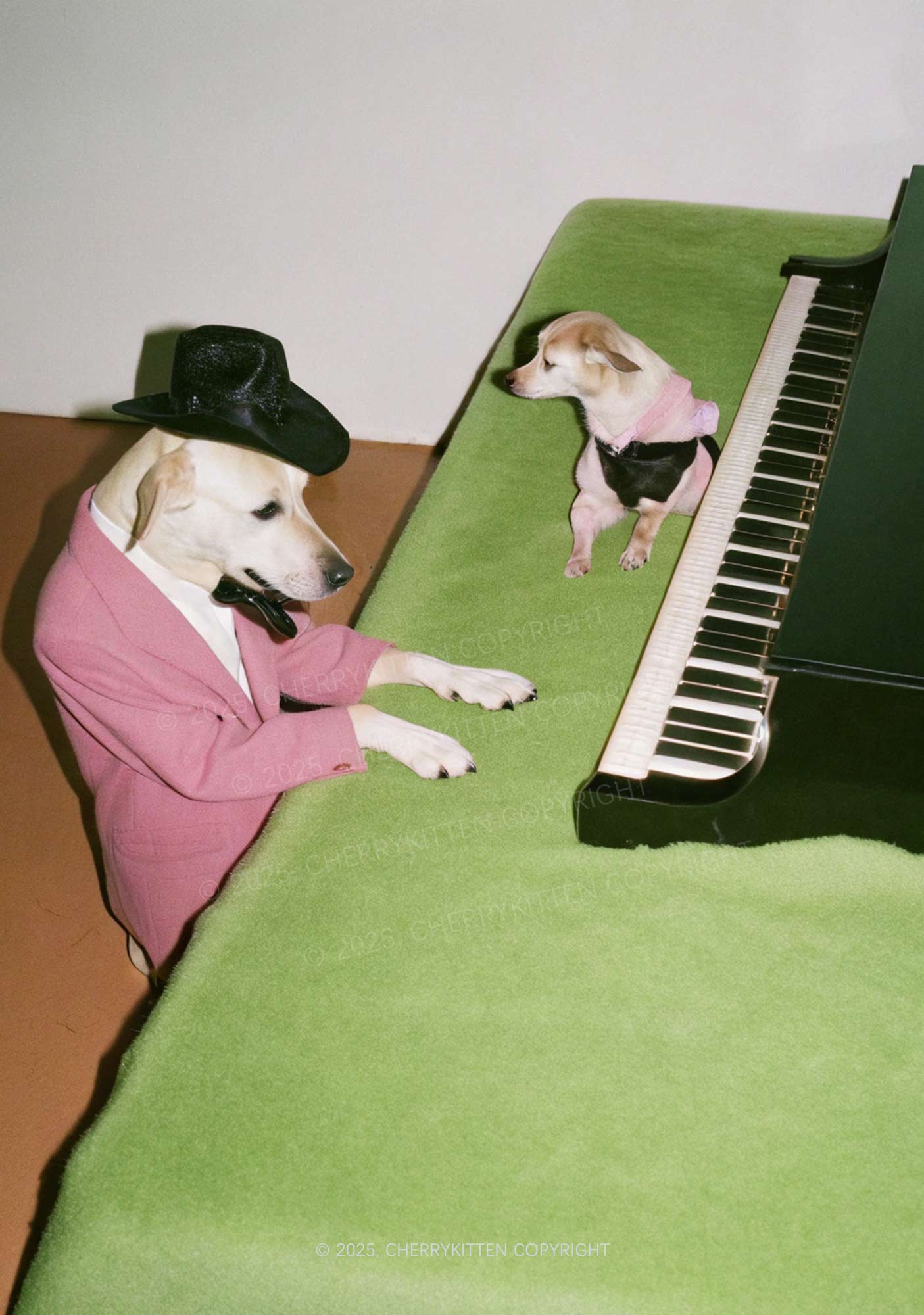Piano Pups Y2K Mesh Crop Top Cherrykitten - Image 2