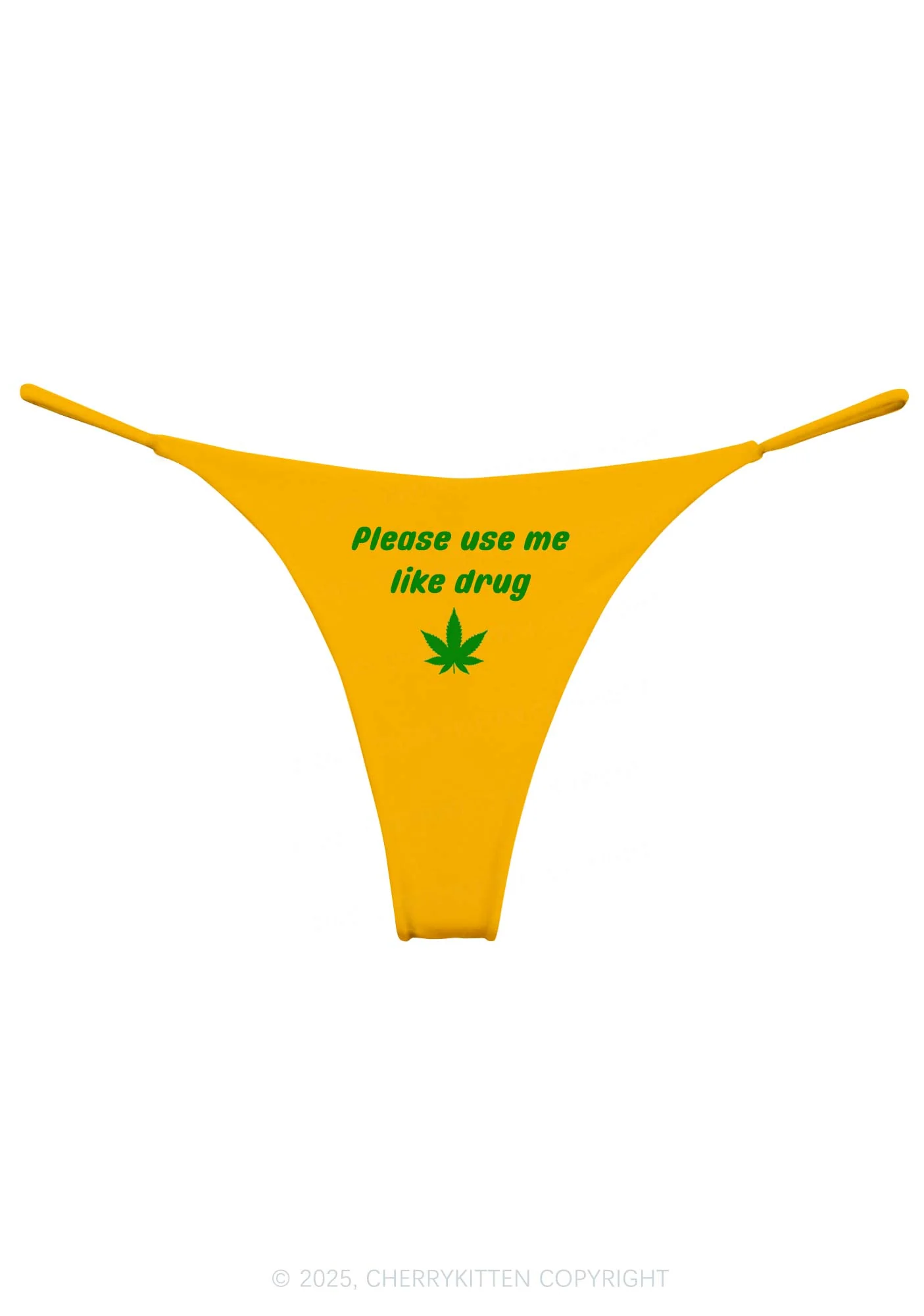 Please Use Me Y2K Bikini String Thong Cherrykitten - Image 6
