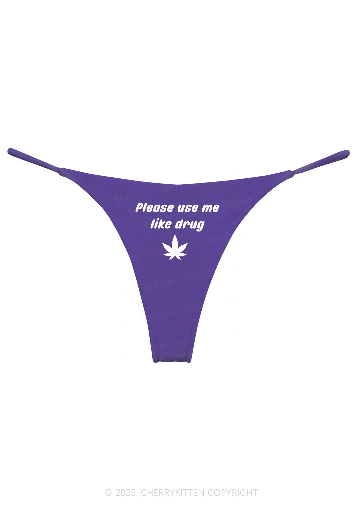 Please Use Me Y2K Bikini String Thong Cherrykitten - Image 8