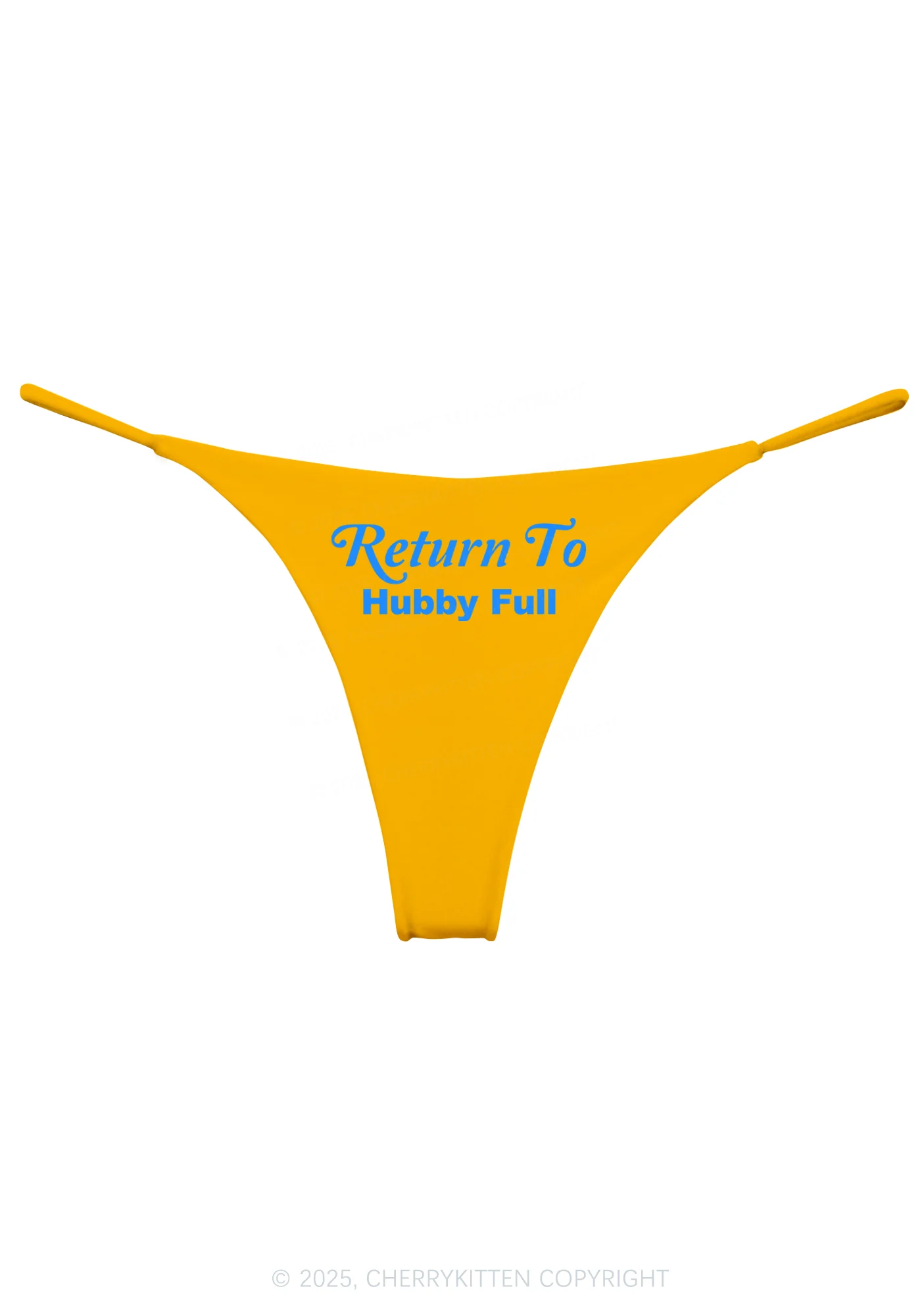Return To Hubby Full Y2K Bikini String Thong Cherrykitten - Image 4