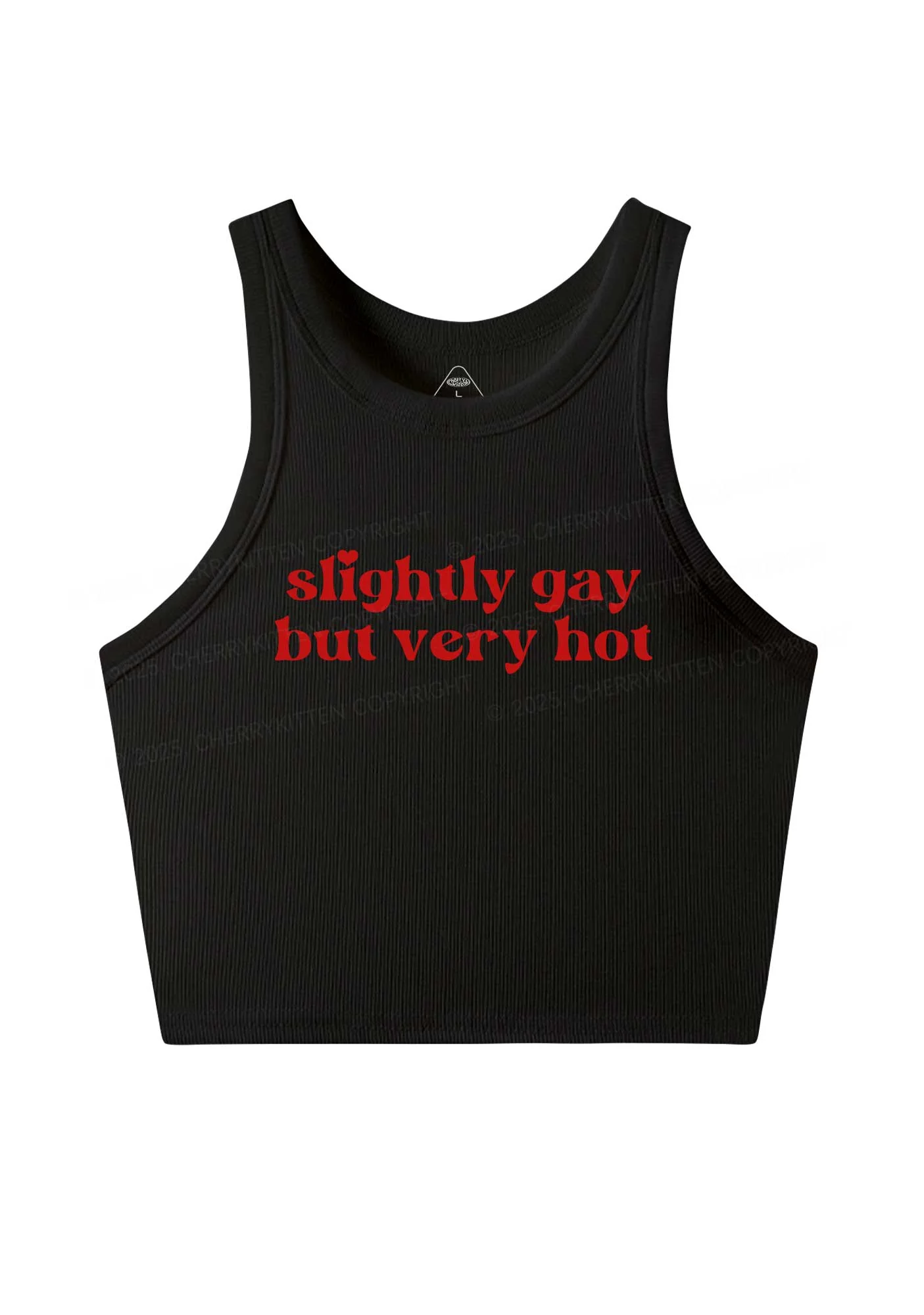 Slightly Gay But Very Hot Pride Y2K Crop Tank Top Cherrykitten - Image 3