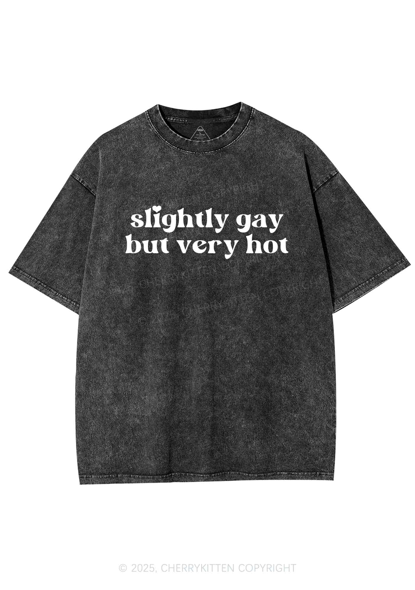 Slightly Gay But Very Hot Pride Y2K Shirts Washed Tee Cherrykitten - Image 3
