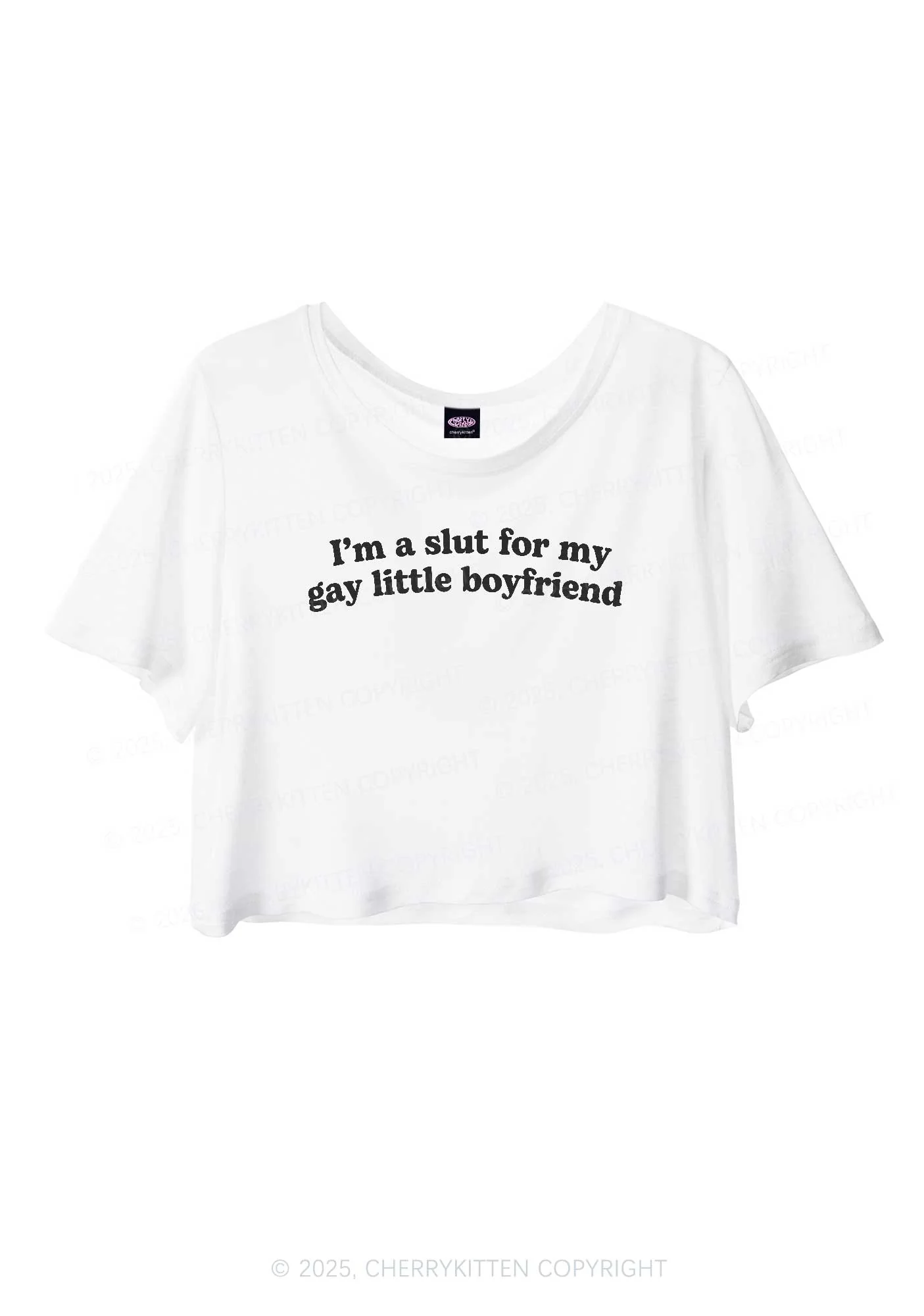 Slxt For My Gay BF Pride Y2K Sheer Crop Tee Cherrykitten