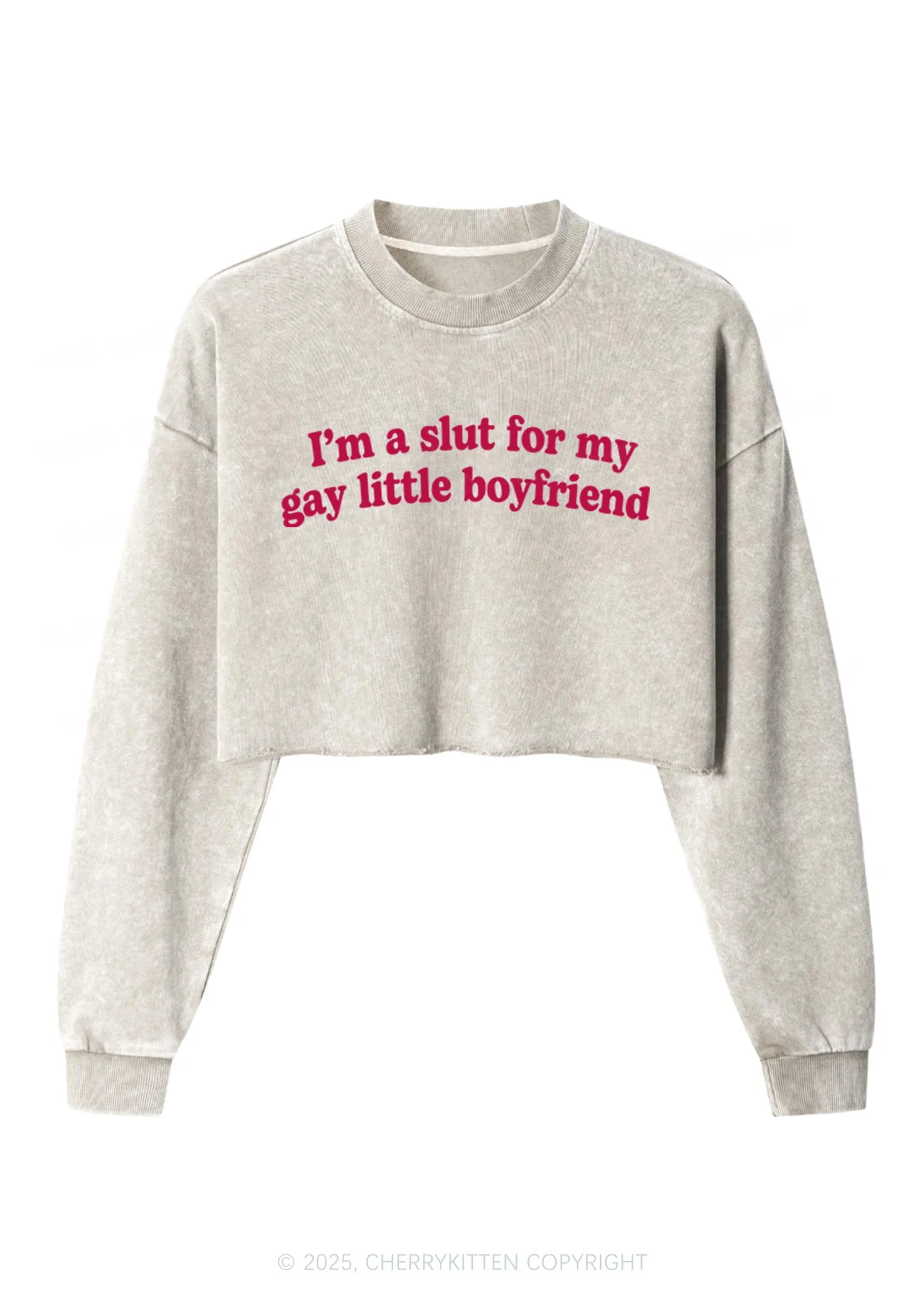 Slxt For My Gay BF Y2K Crop Washed Sweatshirts Cherrykitten