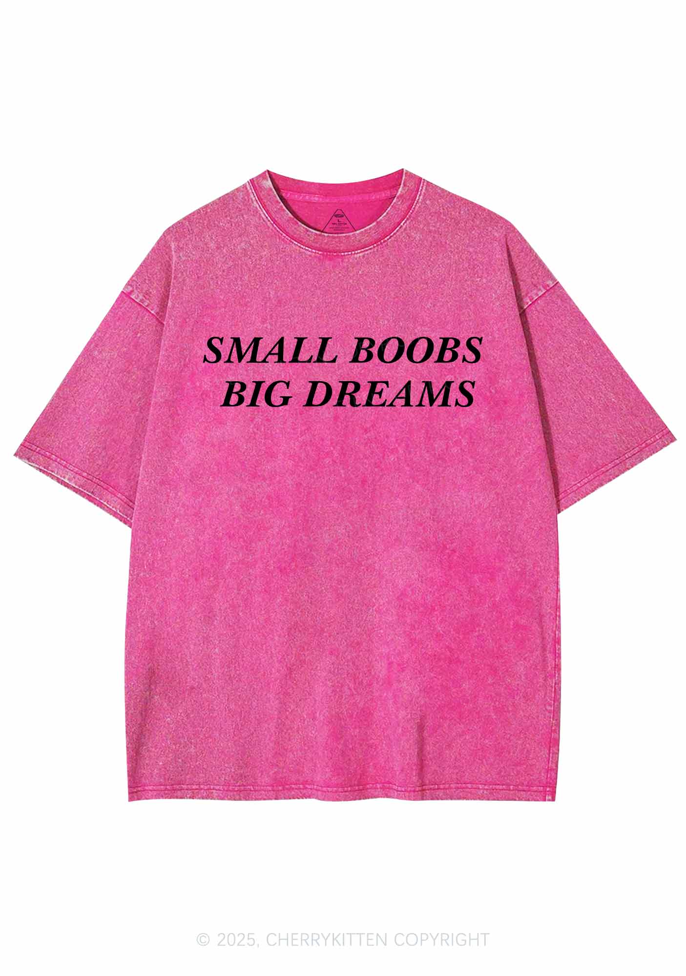 Small But Big Dreams Y2K Shirts Washed Tee Cherrykitten