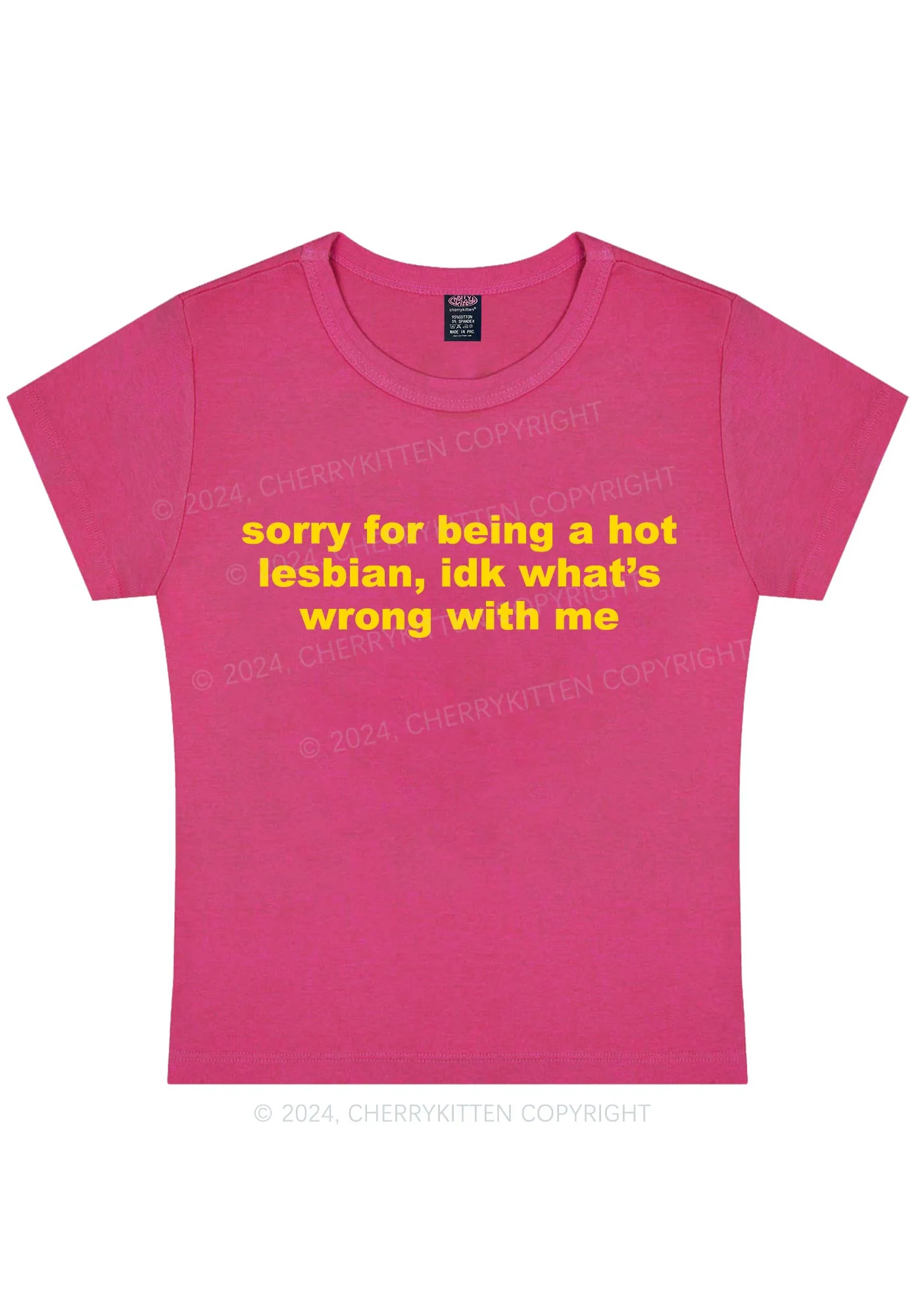 Sorry For Being Hot Lesbian Y2K Baby Tee Cherrykitten - Image 11