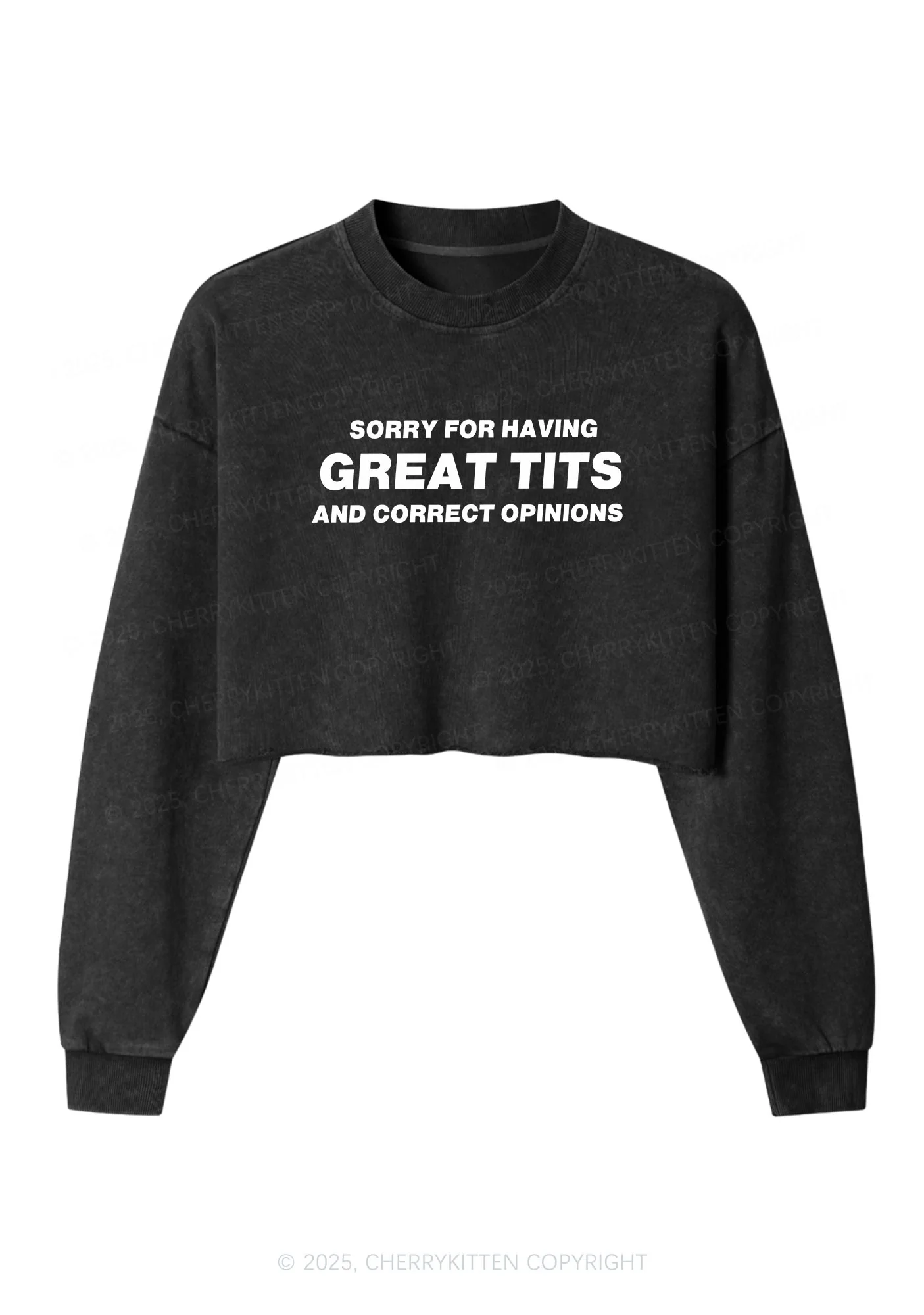 Sorry For Having Correct Opinions Y2K Crop Washed Sweatshirts Cherrykitten - Image 3