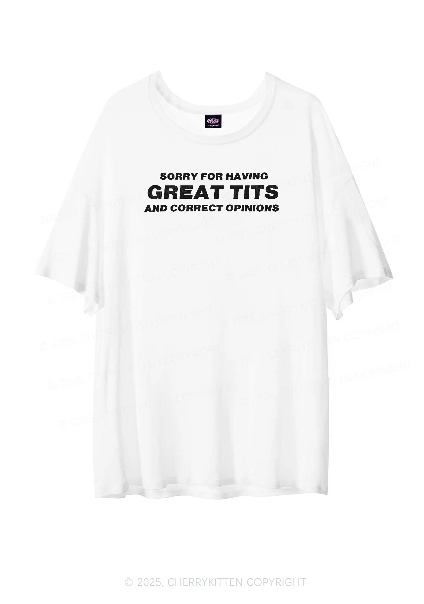 Sorry For Having Correct Opinions Y2K Sheer Boyfriend Tee Cherrykitten