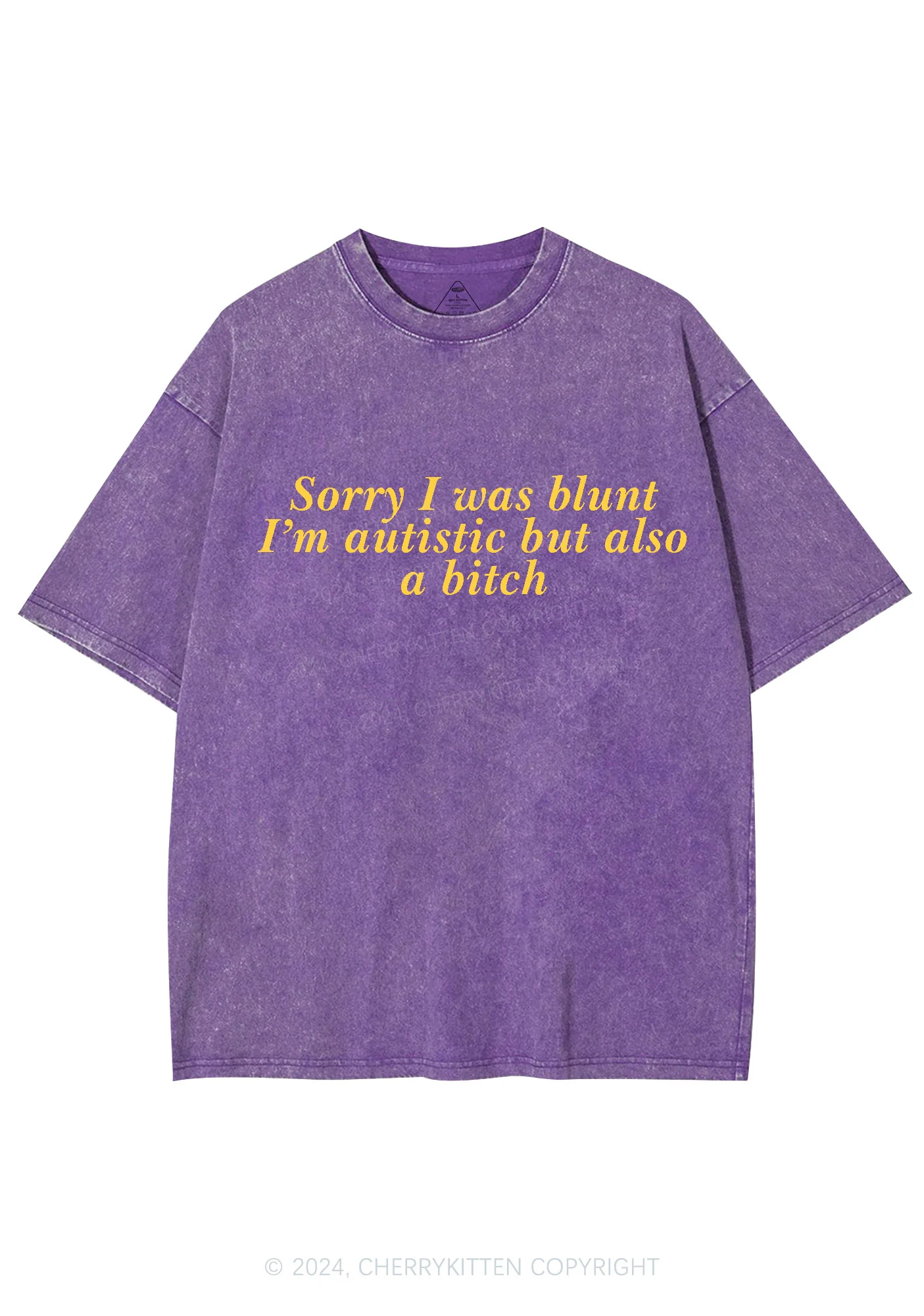 Sorry I Was Blunt Y2K Washed Tee Cherrykitten - Image 5