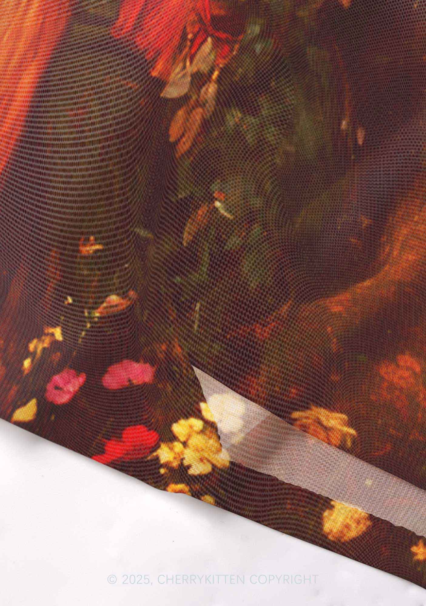 The Lesbians Pride Y2K Mesh Long Sleeve Crop Top Cherrykitten - Image 5