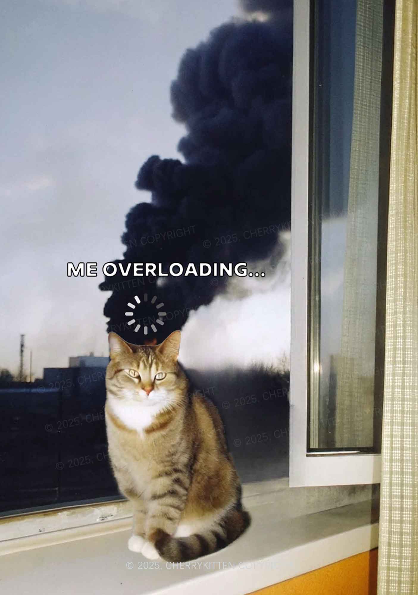 The Overloading Cat Y2K Mesh Crop Top Cherrykitten - Image 2