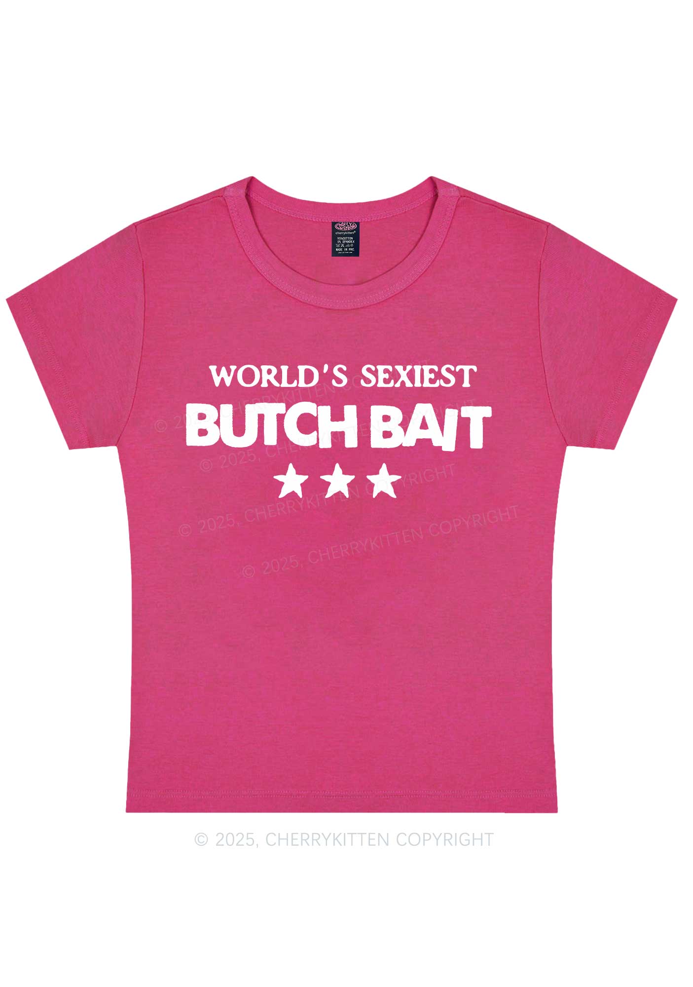 Worlds Sexiest Butch Bait Pride Y2K Baby Tee Cherrykitten - Image 7